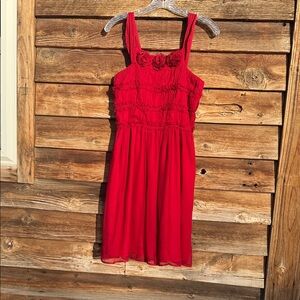 Burlapp silk lined dress
